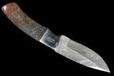 Damascus Knife With Fossil Dinosaur Bone (Gembone) Inlays #125252-4